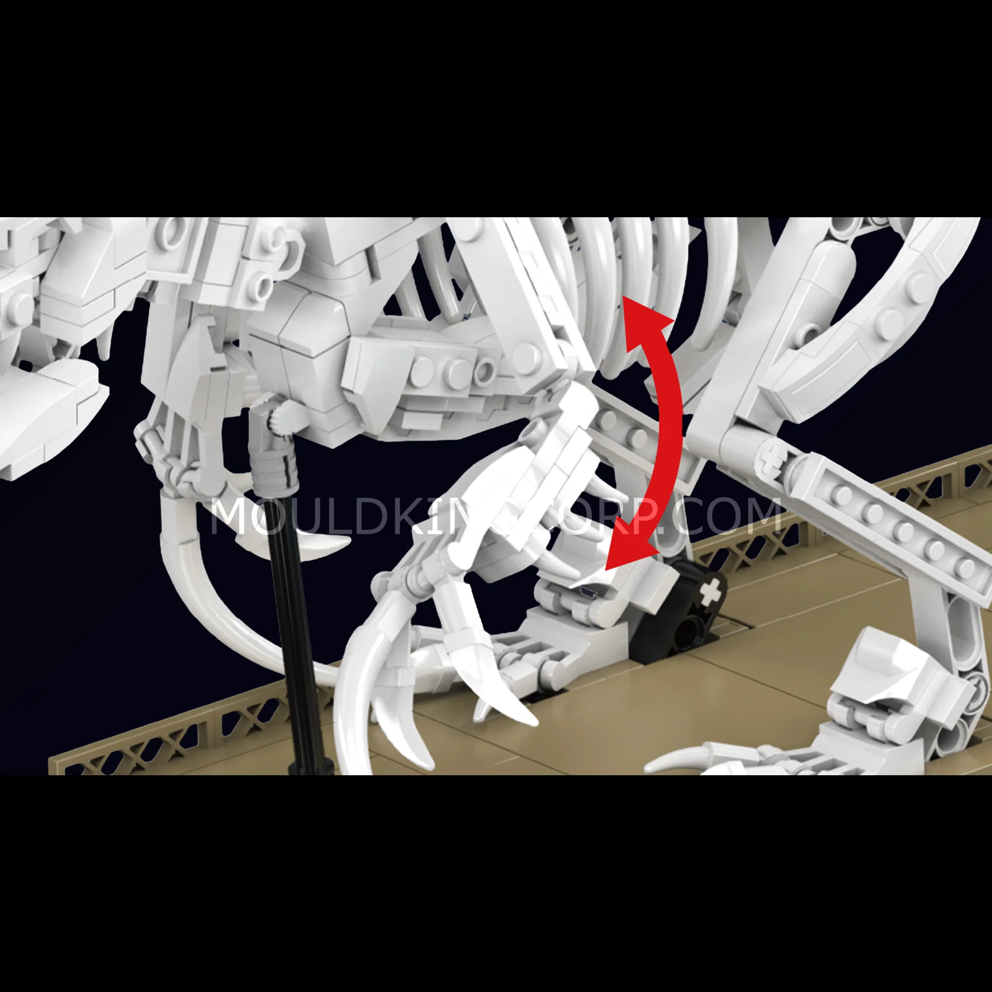 Mould King 29005 Mosasaurus & Velociraptor Fossil Display Model Building Set | 1418 Pcs - Image 4